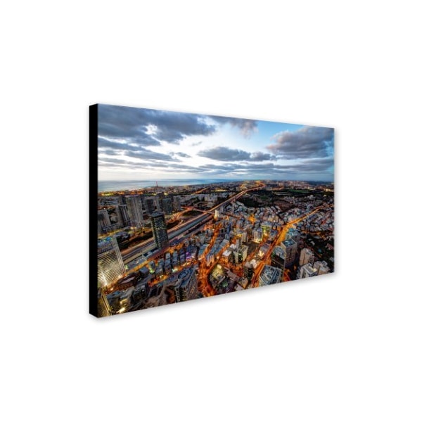 David Ayash 'Tel Aviv - Israel-III' Canvas Art,12x19